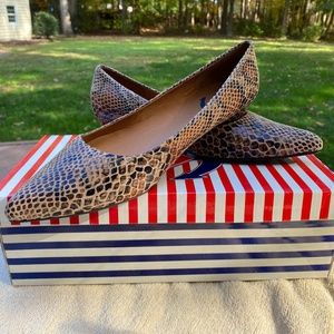 Snake Print Pump. Size 9.5. Brand new. Sexy!